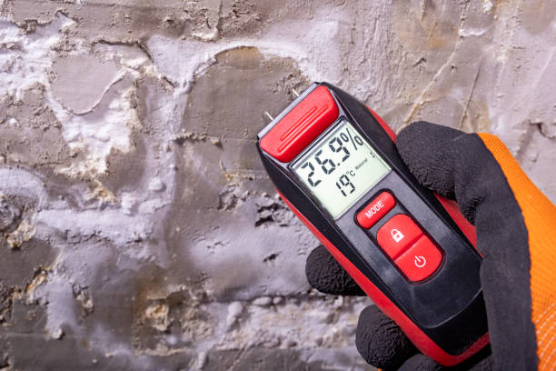 Best Best Mold Removal Companies  in Grain Valley, MO