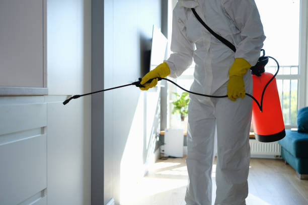 Crawl Space Mold Removal in Grain Valley, MO