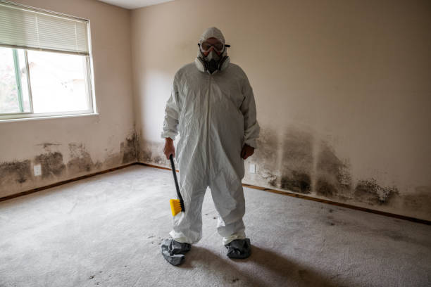 Best Mold Testing  in Grain Valley, MO